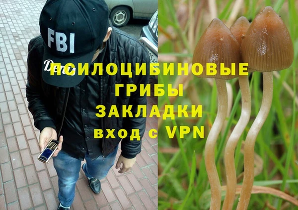 мет Богданович