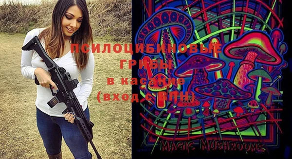 метадон Богородицк