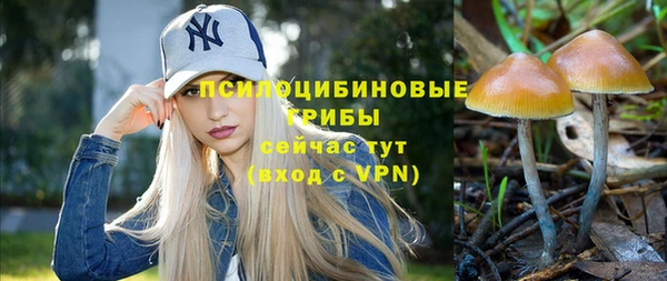 мет Богданович