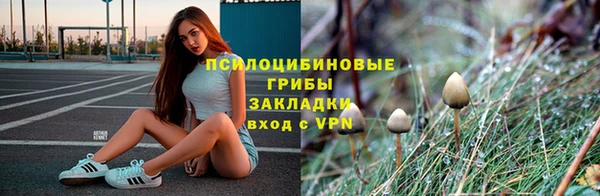метадон Богородицк