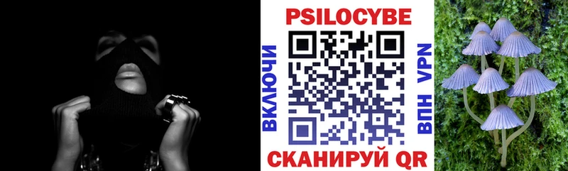 Псилоцибиновые грибы Cubensis  Гатчина 