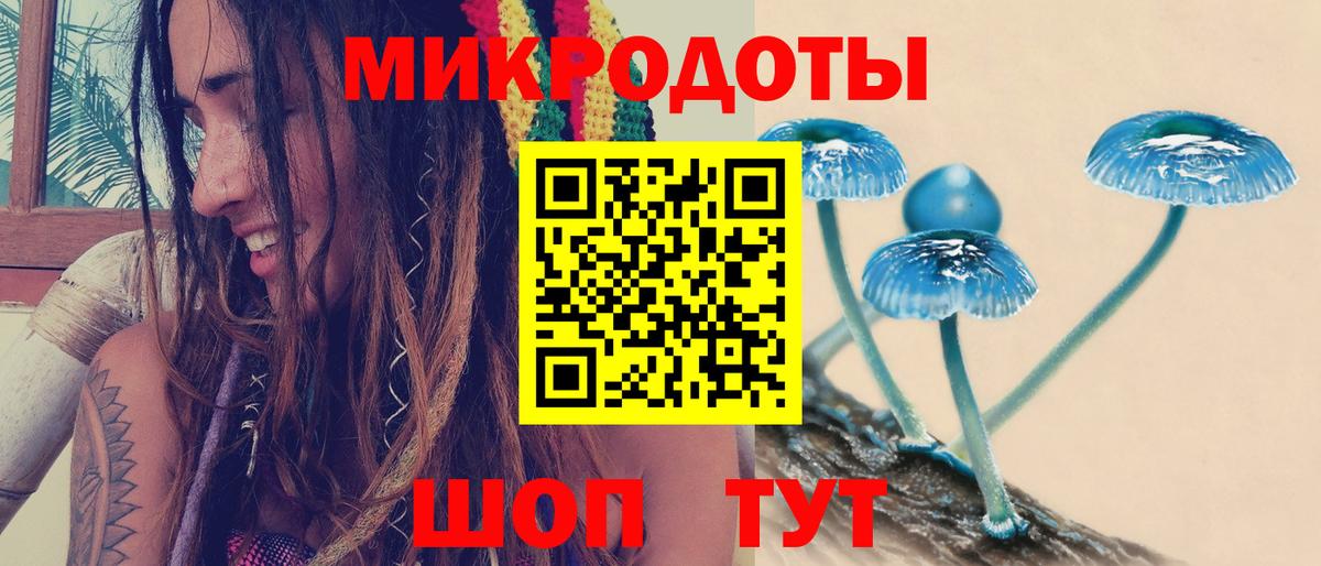 Псилоцибиновые грибы Magic Shrooms  Псилоцибиновые грибы мухоморы  Вход с VPN  сколько стоит  Гатчина 