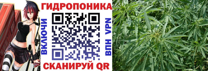 как найти закладки  Гатчина  Бошки марихуана гибрид 